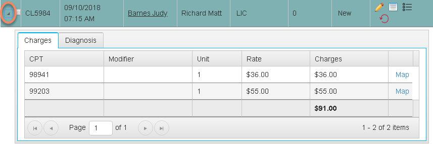 Chart Talk Medical Billing for Chiropractic Expanded Charge